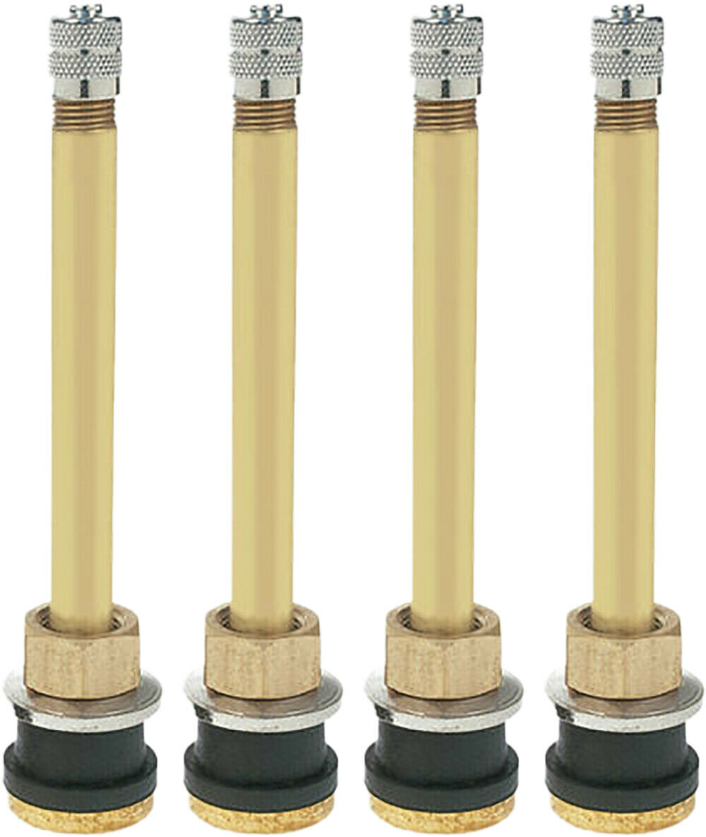 Dill TR572 3-3/4" Brass Clamp-in Tubeless Truck Valve Stem (.625) Pack of 4