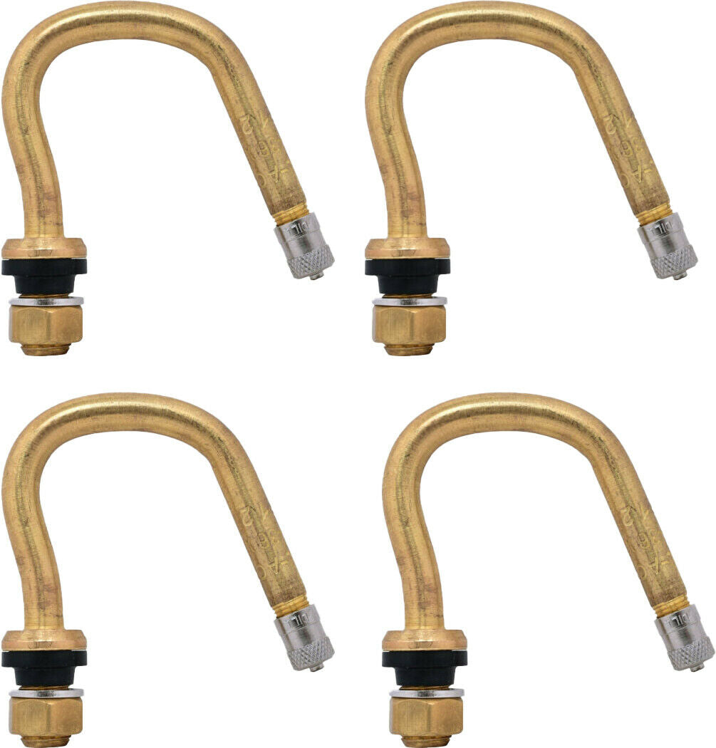 Dill VS-3600 Outer Rear Wheel Sprinter Valve Stem Pack of 4