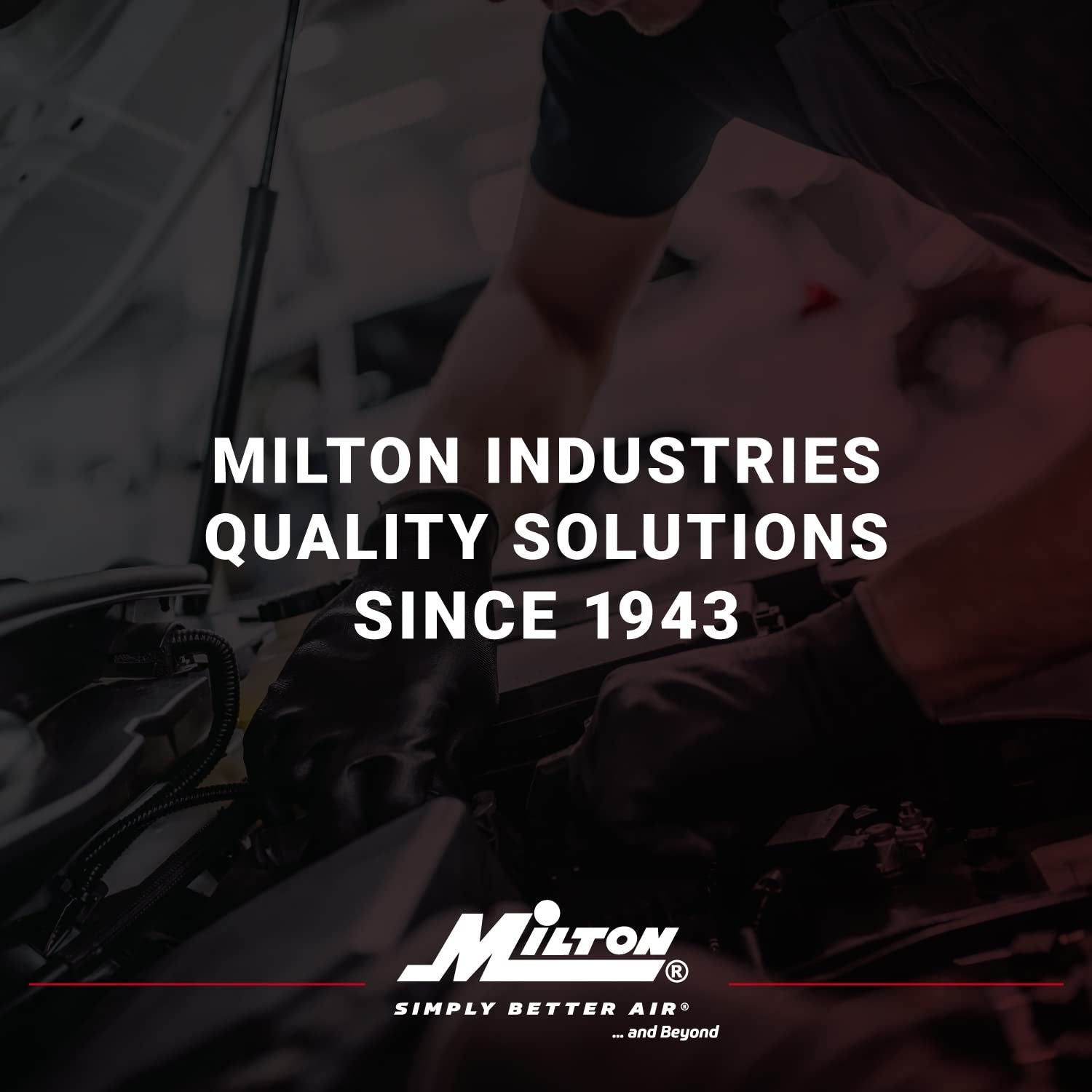 Milton S-684 1/8" MNPT Male Tank Valve Pack of 10